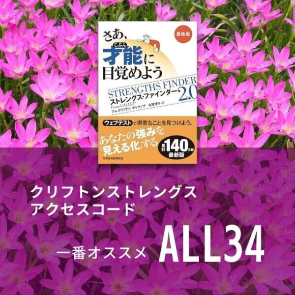 ［ALL34］ストレングスファインダー（クリフトンストレングス）のアクセスコード